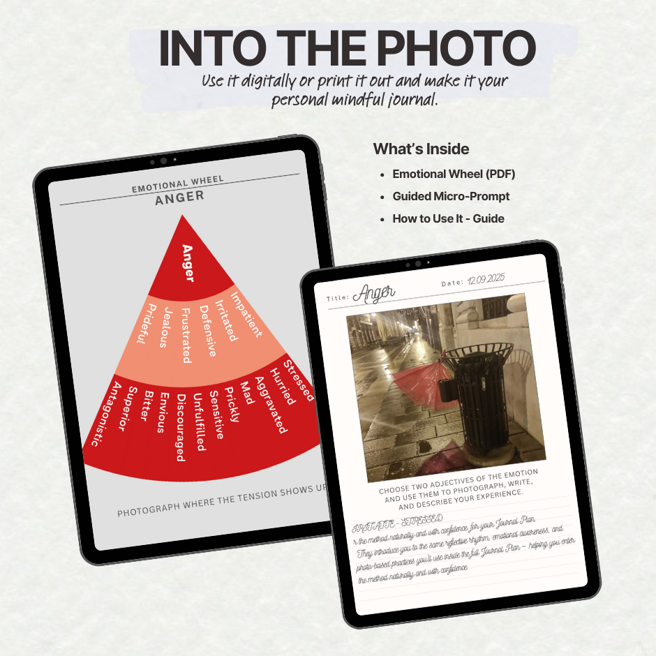 Emotional Wheel - A Guide to Photograph, Write and Describe Your Feelings