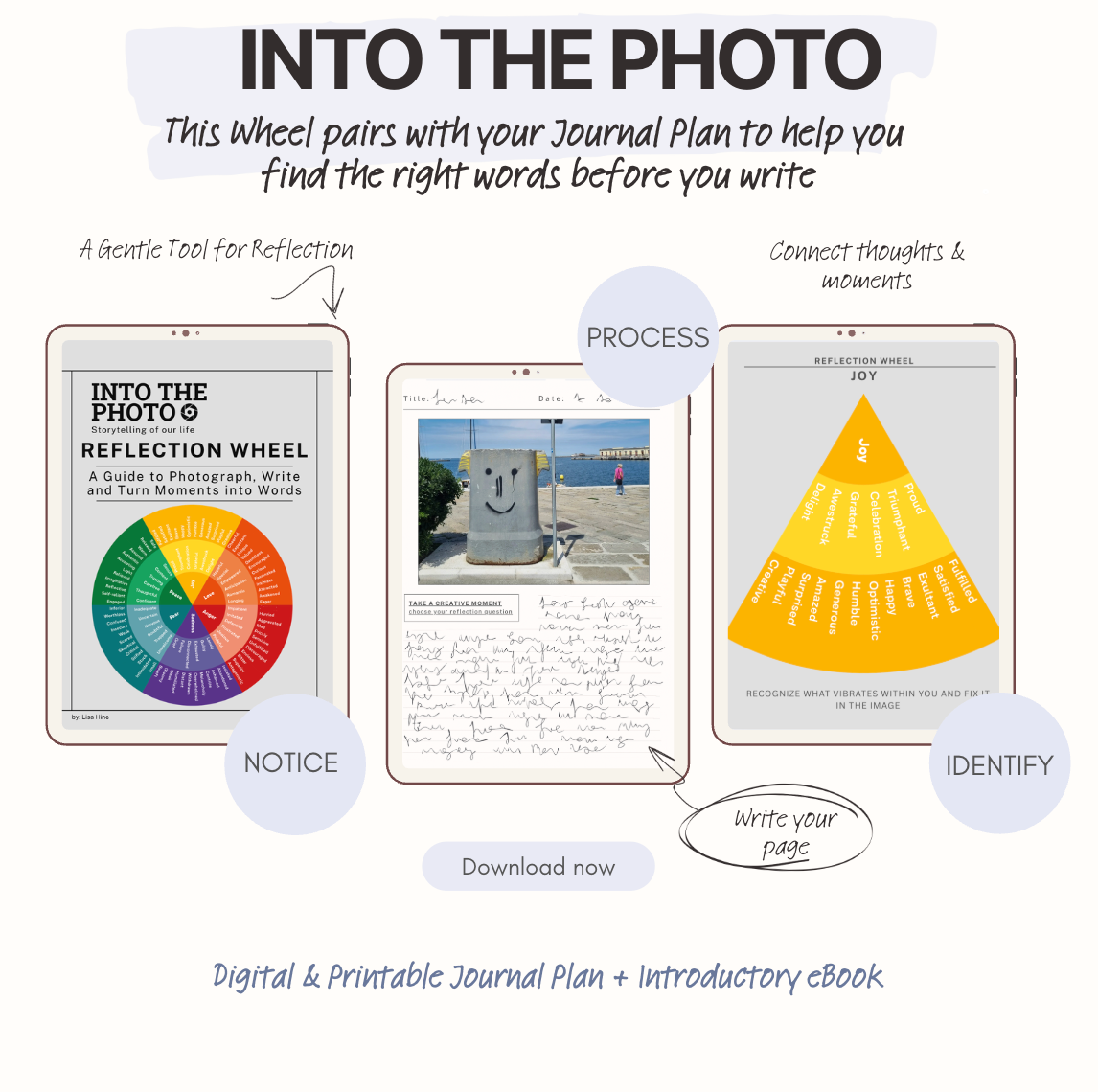 REFLECTION WHEEL - A Guide to Photograph, Write, and Describe What You Notice