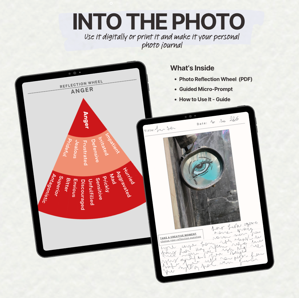 REFLECTION WHEEL - A Guide to Photograph, Write, and Describe What You Notice